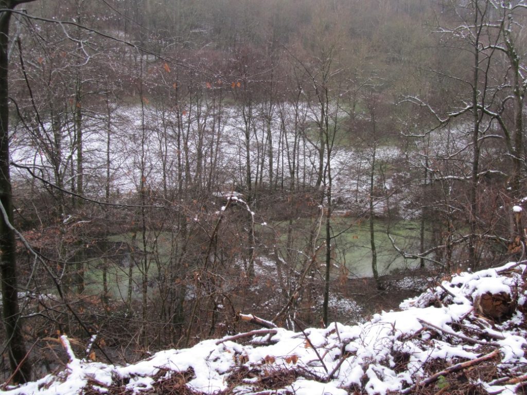 21 Mühlenberg 23