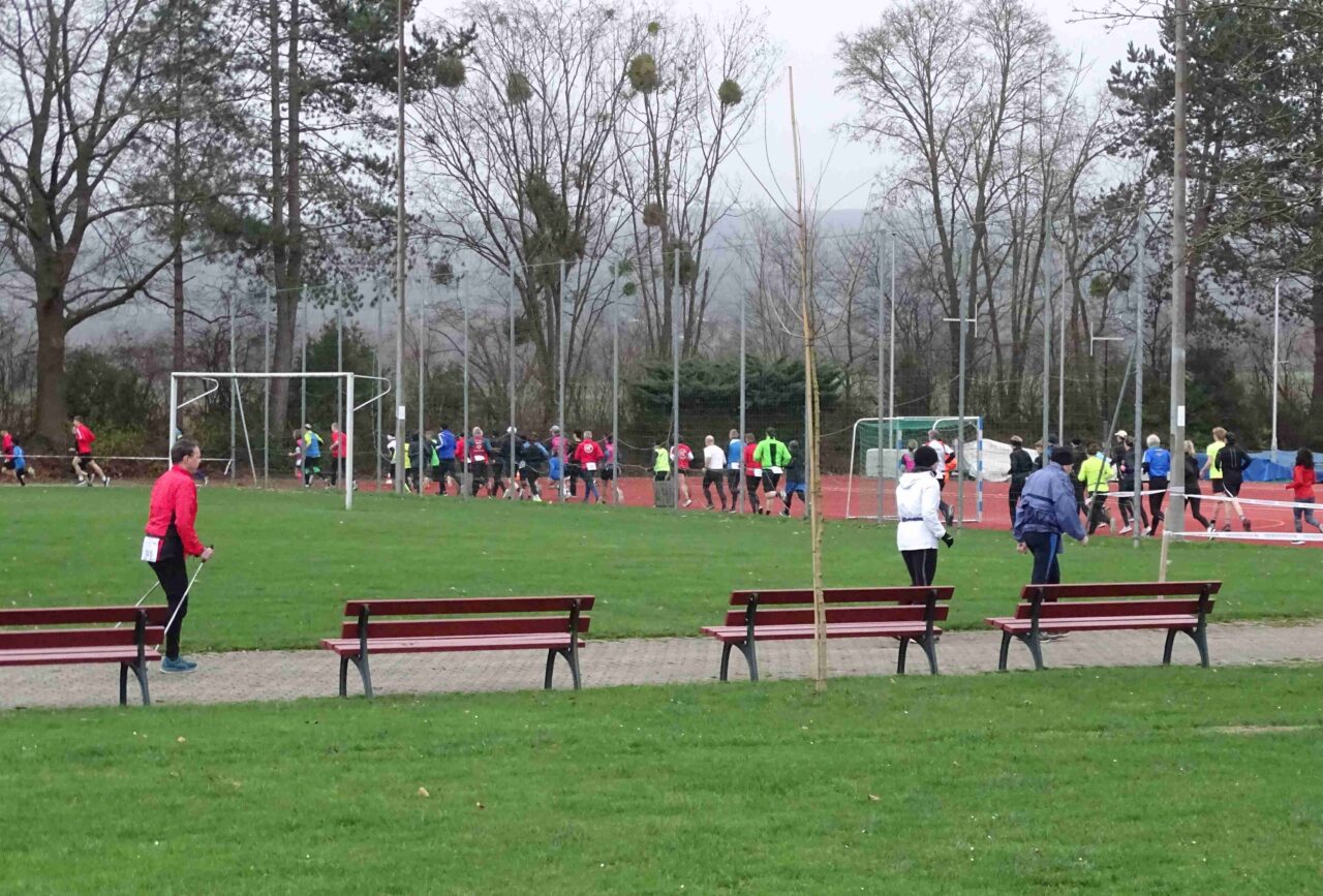 Psv Winterlaufserie 2025 12